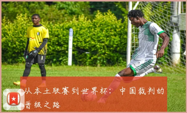 从本土联赛到世界杯：中国裁判的晋级之路